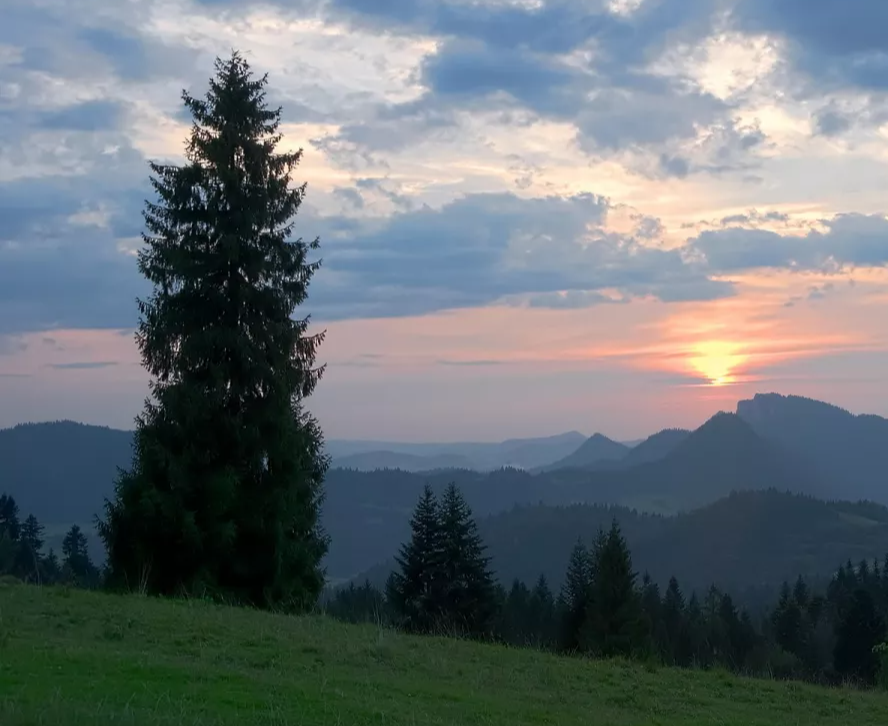 landscape-3662142-1920.22.682ef68910c00